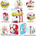 Educational Learning Shape Sorter
