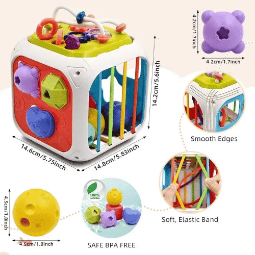 Educational Learning Shape Sorter